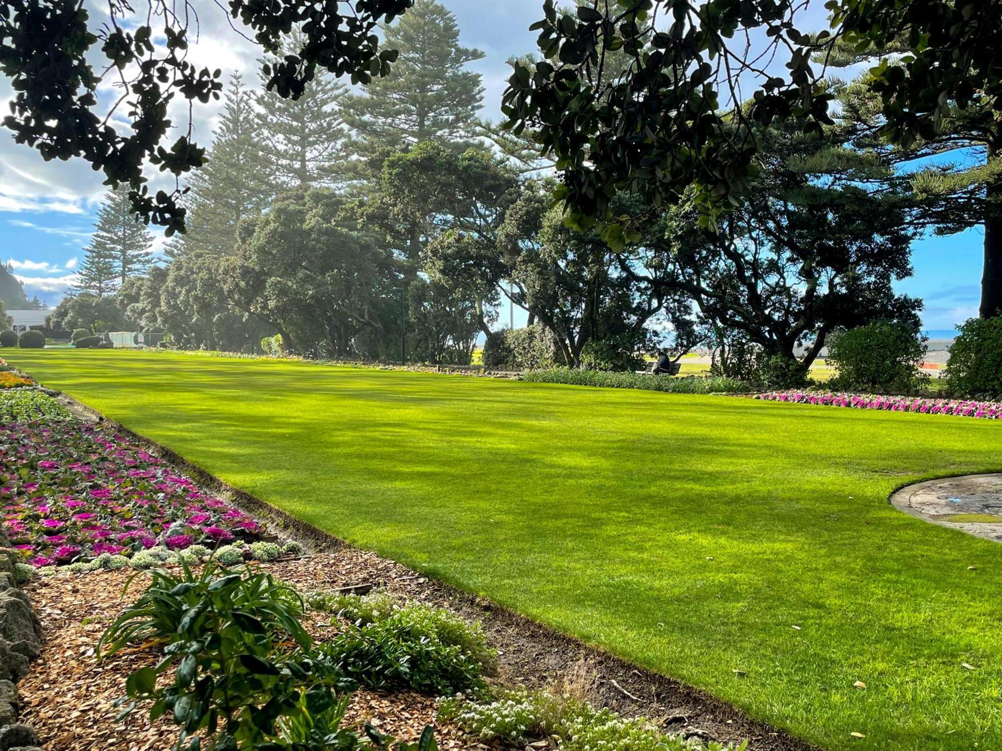 Swiss-Belhotel Napier Buitenkant foto The lawn at the centre of the park